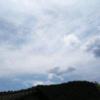 私たちを取り巻く波動