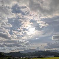 遥かなるインディゴの旅