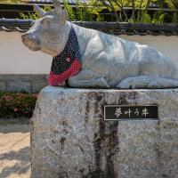 夢叶う牛