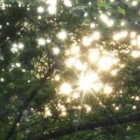 愛のメッセージ 芳香現象