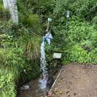 聖なる湧き水