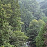 こんな環境で占いをしています
