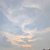 未来を教えてくれる小さな物たち