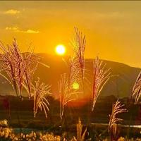 魂の再会の時♪